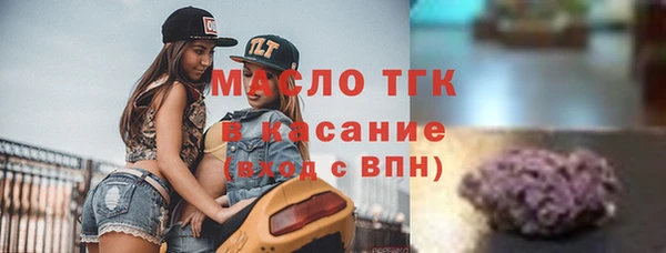 индика Абаза