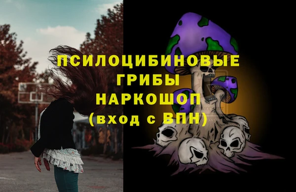 индика Абаза
